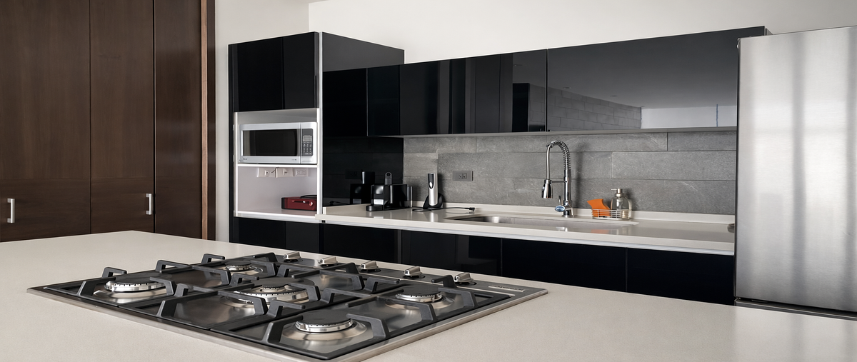 Foto de departamento en renta en prolongación puerta del sol , residencial dinastía, monterrey, nuevo león, 0 No. 04