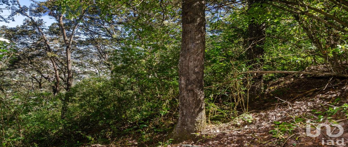 Foto de terreno habitacional en venta en prolongacion rancho san nicolás 101, san nicolás, san cristóbal de las casas, chiapas, 28724950 No. 04