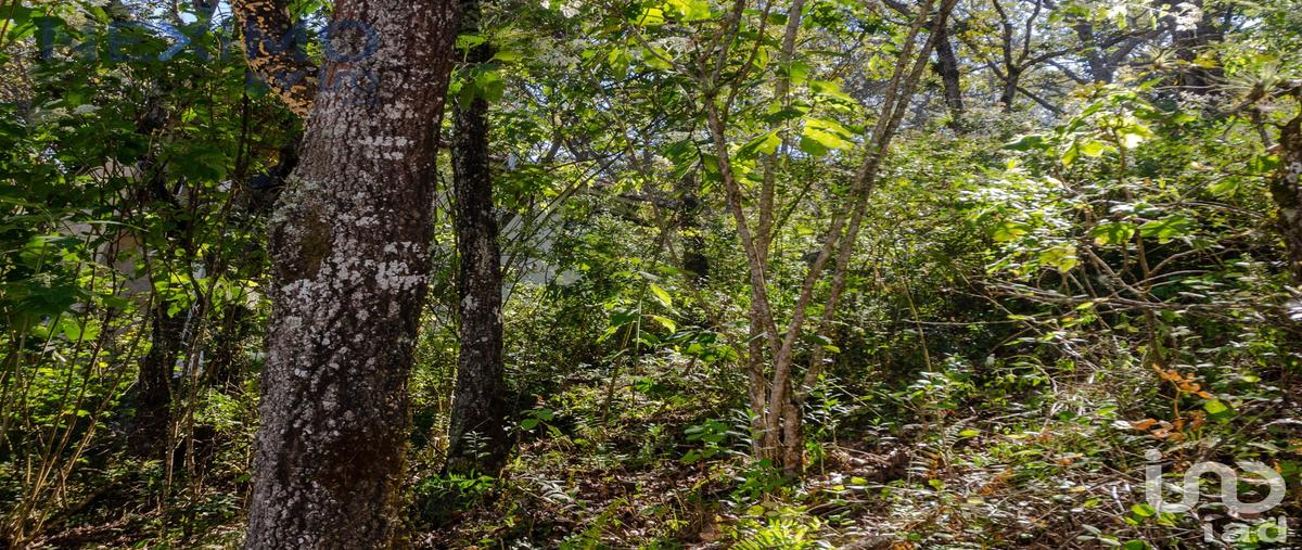 Foto de terreno habitacional en venta en prolongacion rancho san nicolás 102, san nicolás, san cristóbal de las casas, chiapas, 28724950 No. 05