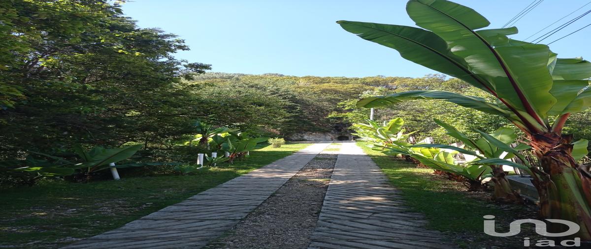 Foto de terreno habitacional en venta en prolongacion ranulfo tovilla 69, san nicolás, san cristóbal de las casas, chiapas, 28724890 No. 04