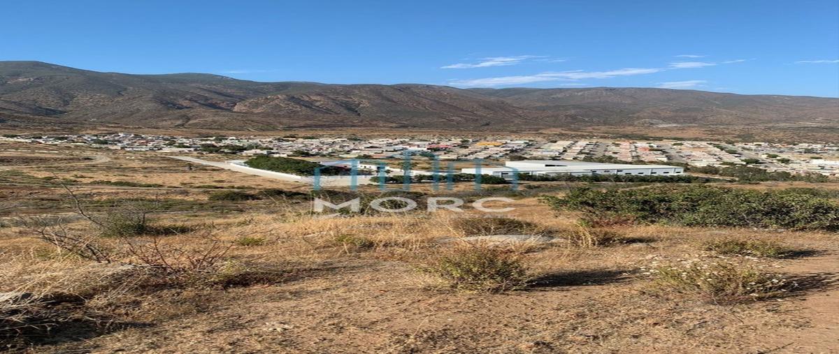 Foto de terreno habitacional en prolongación ruiz , los encinos, ensenada, baja california, 25429725 foto 05 Foto de terreno habitacional en venta en prolongación ruiz , los encinos, ensenada, baja california, 25429725 No. 05
