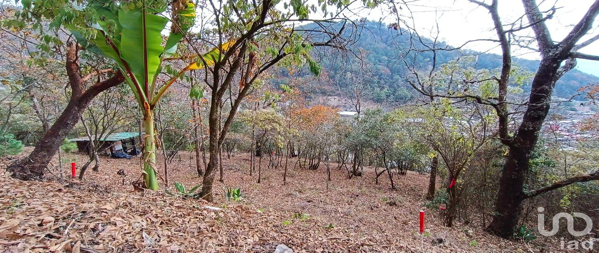 Foto de terreno habitacional en venta en prolongacion san nicolás , san nicolás, san cristóbal de las casas, chiapas, 28724761 No. 03
