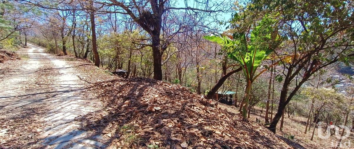 Foto de terreno habitacional en venta en prolongacion san nicolás , san nicolás, san cristóbal de las casas, chiapas, 28724761 No. 04