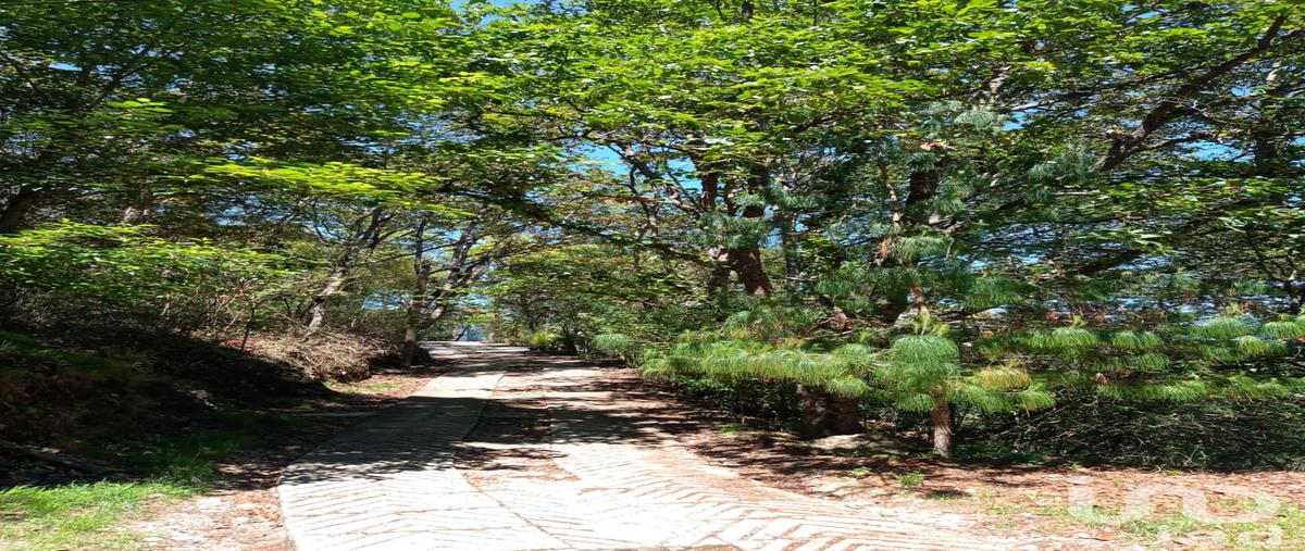 Foto de terreno habitacional en venta en prolongacion san nicolás , san nicolás, san cristóbal de las casas, chiapas, 28724761 No. 05