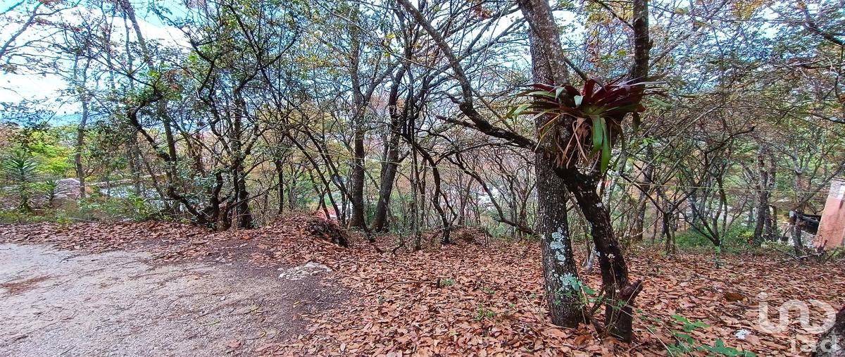 Foto de terreno habitacional en venta en prolongación san nicolás , san nicolás, san cristóbal de las casas, chiapas, 30390532 No. 03