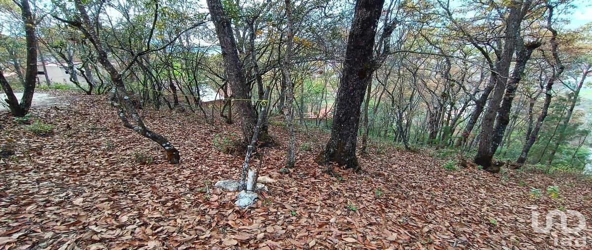 Foto de terreno habitacional en venta en prolongación san nicolás , san nicolás, san cristóbal de las casas, chiapas, 30390532 No. 04
