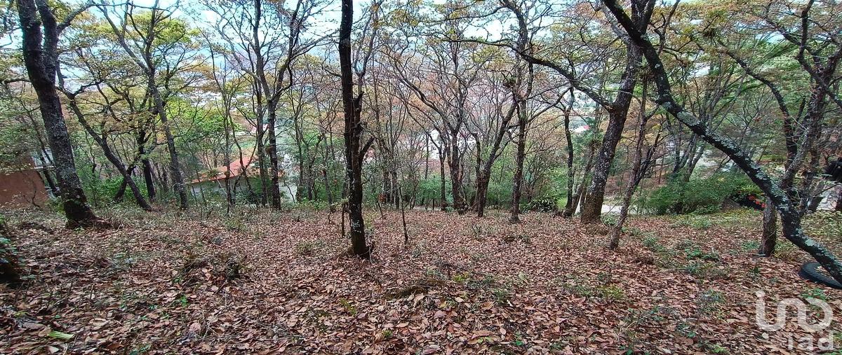 Foto de terreno habitacional en venta en prolongación san nicolás , san nicolás, san cristóbal de las casas, chiapas, 30390532 No. 05