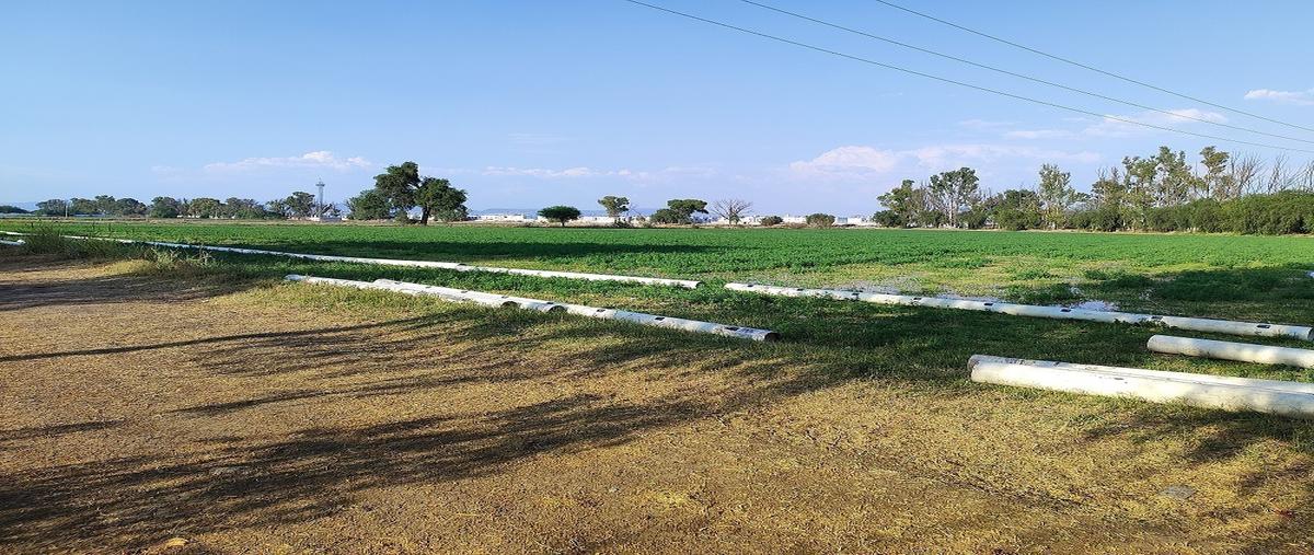 Foto de terreno habitacional en venta en prolongacion santuario del milagro , haciendas del pueblito, corregidora, querétaro, 0 No. 05