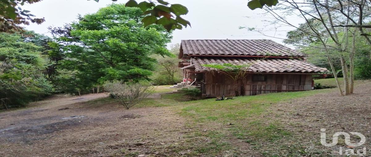 Foto de terreno habitacional en prolongación sendero del toche 112, úrsulo galván (dos trancas), tlalnelhuayocan, veracruz de ignacio de la llave, 31363810 foto 01 Foto de terreno habitacional en venta en prolongación sendero del toche 112, úrsulo galván (dos trancas), tlalnelhuayocan, veracruz de ignacio de la llave, 31363810 No. 01