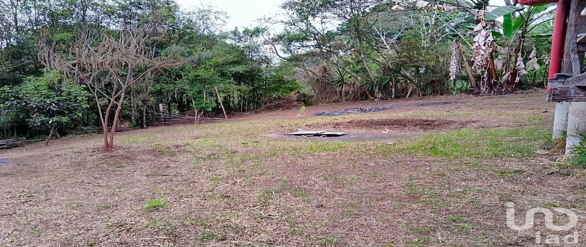 Foto de terreno habitacional en prolongación sendero del toche 118, úrsulo galván (dos trancas), tlalnelhuayocan, veracruz de ignacio de la llave, 31363810 foto 05 Foto de terreno habitacional en venta en prolongación sendero del toche 118, úrsulo galván (dos trancas), tlalnelhuayocan, veracruz de ignacio de la llave, 31363810 No. 05