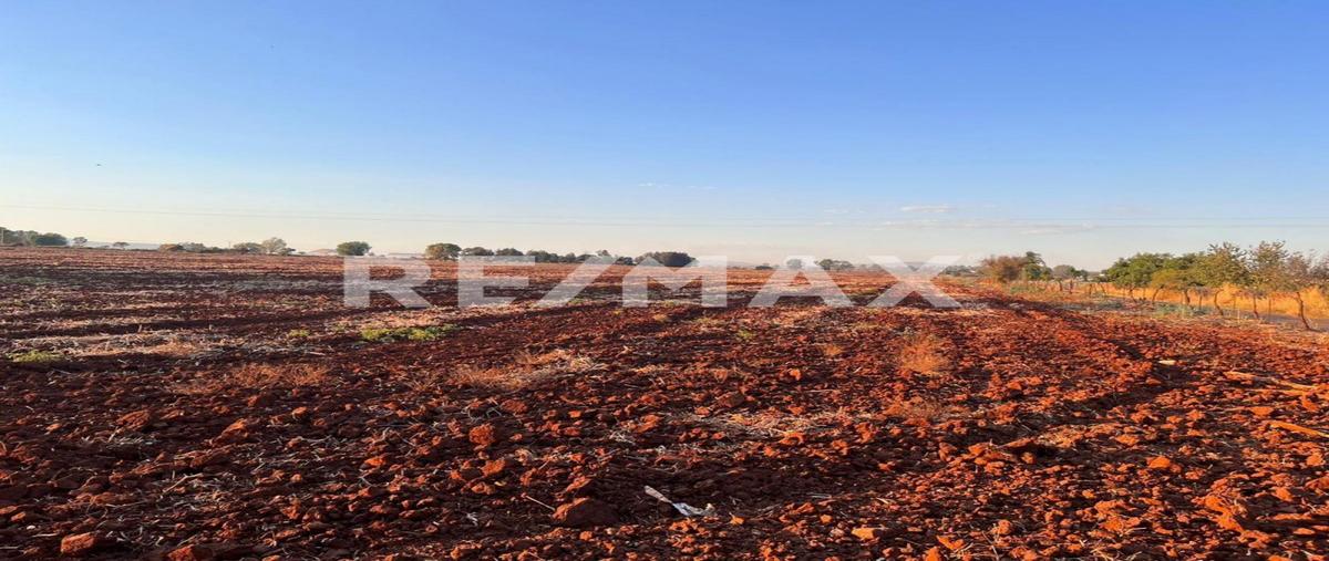 Foto de rancho en venta en providencia , tepatitlán de morelos centro, tepatitlán de morelos, jalisco, 0 No. 04