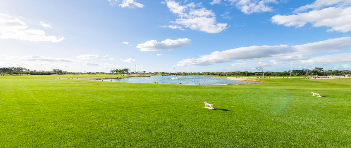 Foto de terreno habitacional en provincia golf club , tamanché, mérida, yucatán, 0 foto 01 Foto de terreno habitacional en venta en provincia golf club , tamanché, mérida, yucatán, 0 No. 01