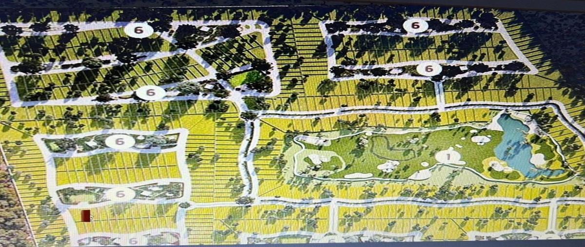 Foto de terreno habitacional en provincia , komchen, mérida, yucatán, 27684049 foto 03 Foto de terreno habitacional en venta en provincia , komchen, mérida, yucatán, 27684049 No. 03