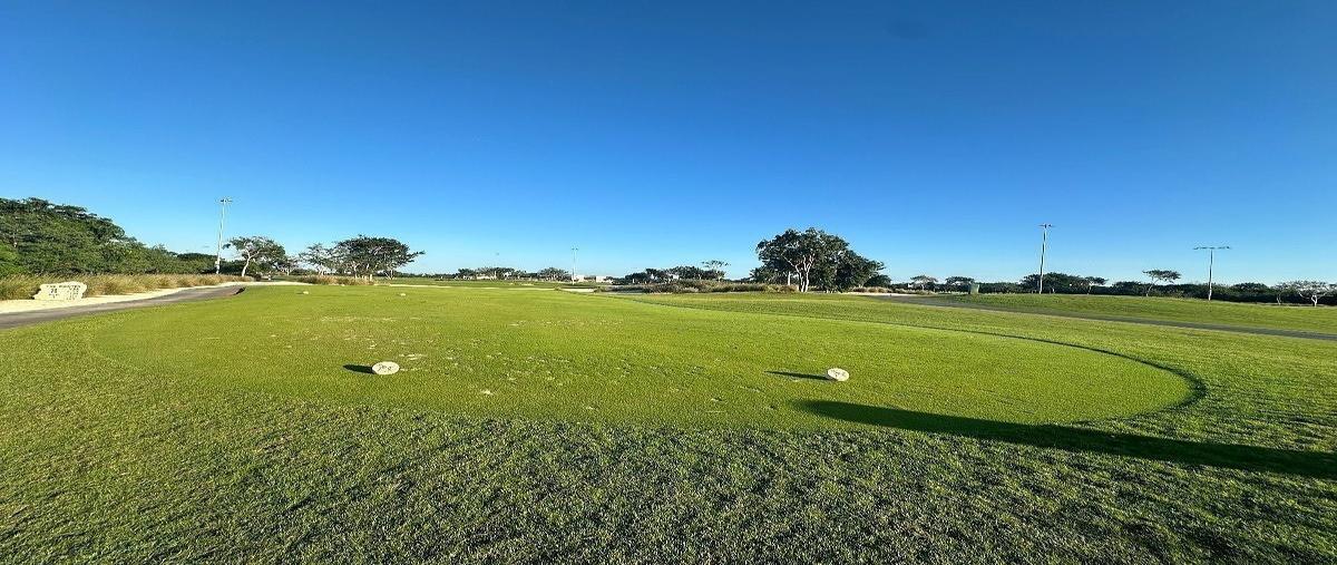 Foto de terreno habitacional en venta en provincia , komchen, mérida, yucatán, 0 No. 03