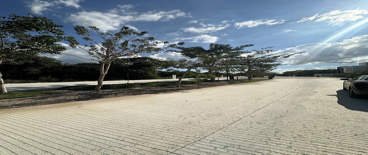 Foto de terreno habitacional en venta en provincia , tamanché, mérida, yucatán, 30436784 No. 03