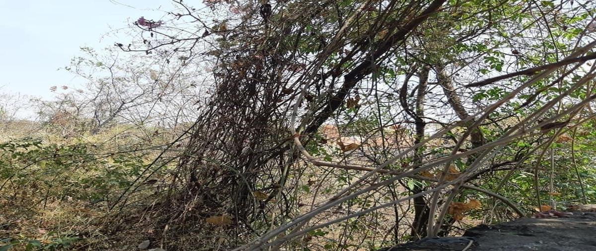 Foto de terreno habitacional en venta en  , provincias del canadá, cuernavaca, morelos, 26437182 No. 03