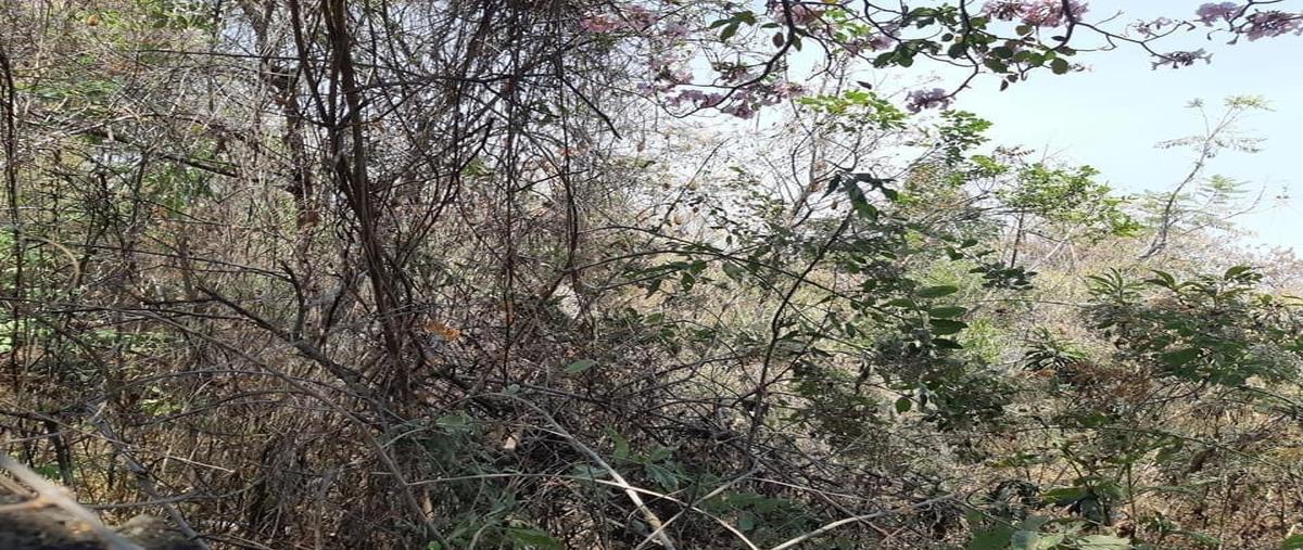 Foto de terreno habitacional en venta en  , provincias del canadá, cuernavaca, morelos, 26437182 No. 04