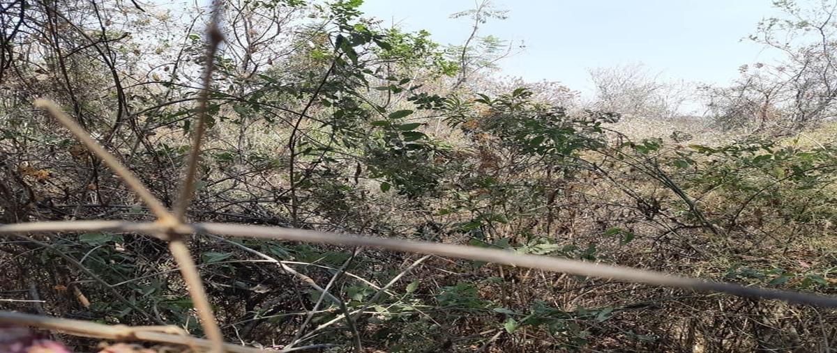 Foto de terreno habitacional en venta en  , provincias del canadá, cuernavaca, morelos, 26437182 No. 05