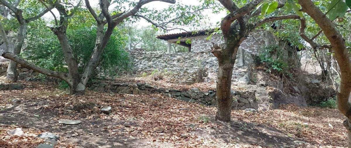 Foto de terreno habitacional en venta en  , puácuaro, erongarícuaro, michoacán de ocampo, 0 No. 03