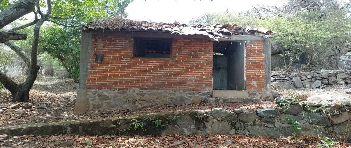 Foto de terreno habitacional en venta en  , puácuaro, erongarícuaro, michoacán de ocampo, 0 No. 05