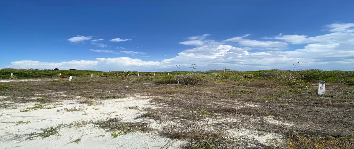 Foto de terreno habitacional en venta en puch house , san diego, dzemul, yucatán, 0 No. 06