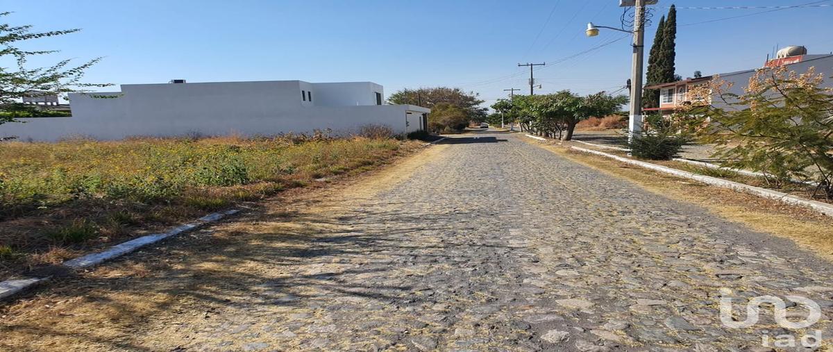 Foto de terreno habitacional en venta en puebla 98, paraíso tlahuica, ayala, morelos, 30418041 No. 03