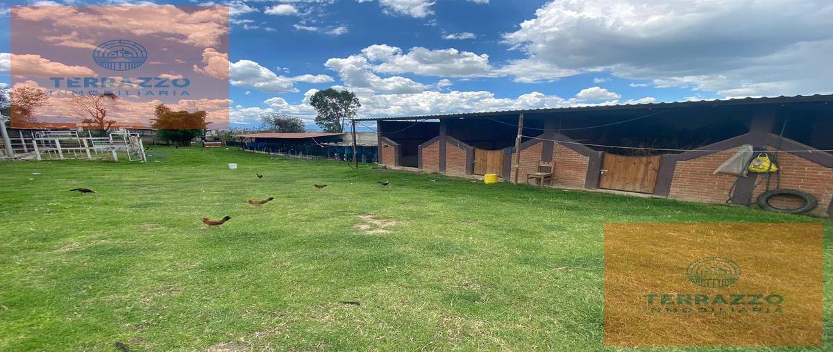 Foto de terreno habitacional en , puebla (hermanos serdán), huejotzingo, puebla, 22735975 foto 02 Foto de terreno habitacional en venta en , puebla (hermanos serdán), huejotzingo, puebla, 22735975 No. 02
