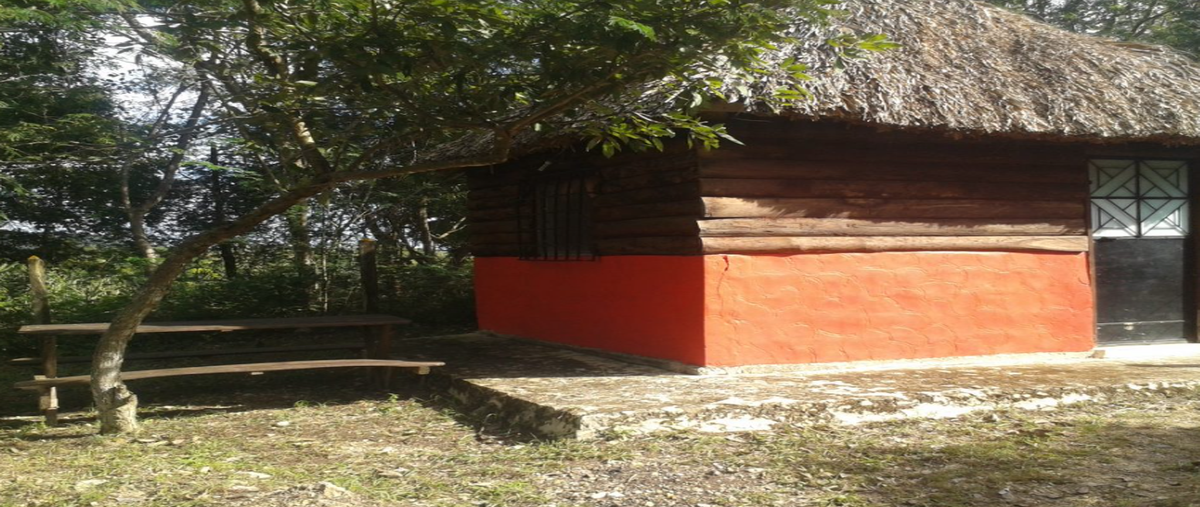 Foto de terreno habitacional en venta en pueblo , carrizal, centro, tabasco, 20157206 No. 03
