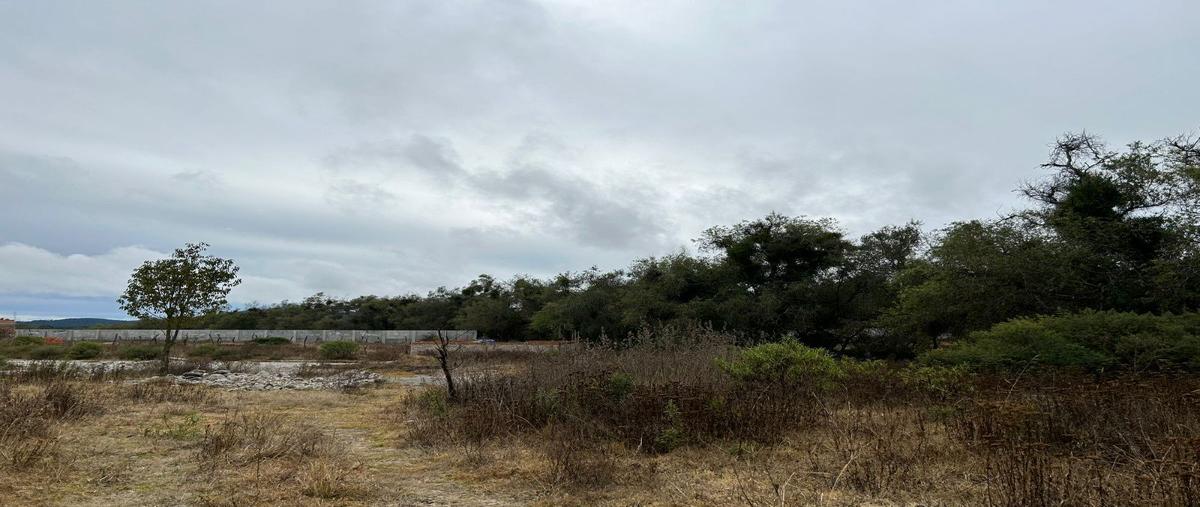 Foto de terreno habitacional en venta en pueblo de san antonio , san antonio, tapalpa, jalisco, 0 No. 04