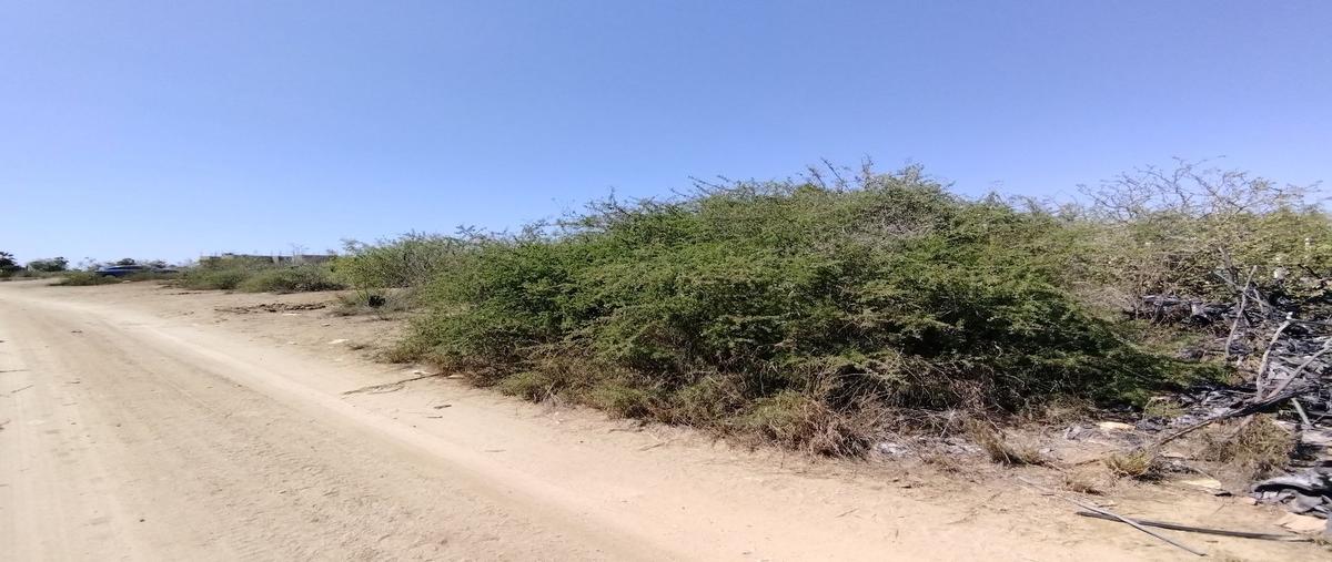 Foto de terreno habitacional en venta en  , pueblo nuevo, la paz, baja california sur, 28806083 No. 05