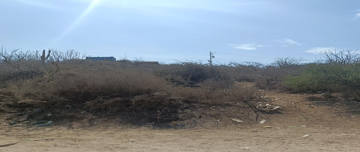 Foto de terreno habitacional en , pueblo nuevo, la paz, baja california sur, 30195285 foto 02 Foto de terreno habitacional en venta en , pueblo nuevo, la paz, baja california sur, 30195285 No. 02