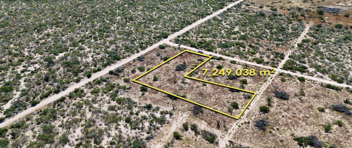 Foto de terreno habitacional en , pueblo nuevo, la paz, baja california sur, 30577176 foto 03 Foto de terreno habitacional en venta en , pueblo nuevo, la paz, baja california sur, 30577176 No. 03