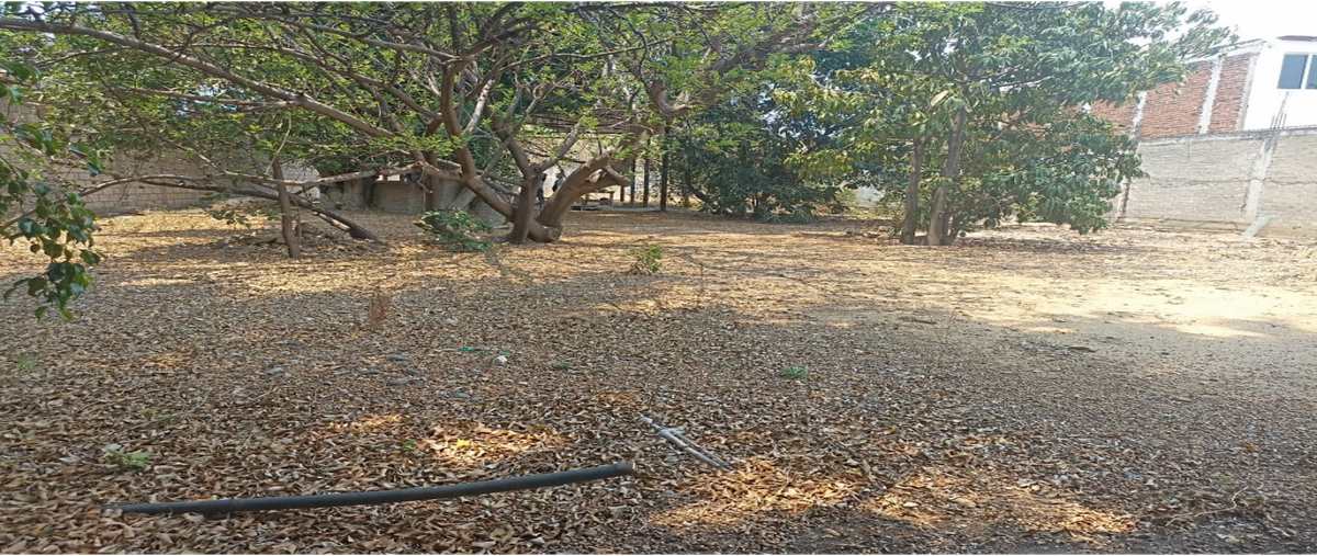 Foto de terreno habitacional en venta en  , pueblo nuevo, oaxaca de juárez, oaxaca, 0 No. 04