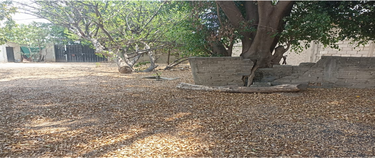 Foto de terreno habitacional en venta en  , pueblo nuevo, oaxaca de juárez, oaxaca, 0 No. 05