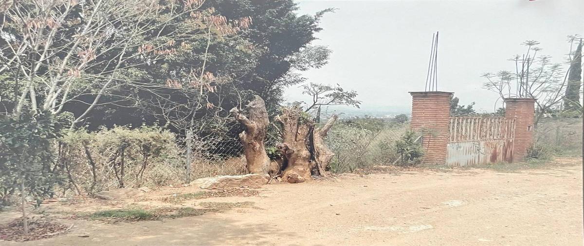 Foto de terreno habitacional en venta en  , pueblo nuevo, oaxaca de juárez, oaxaca, 0 No. 03