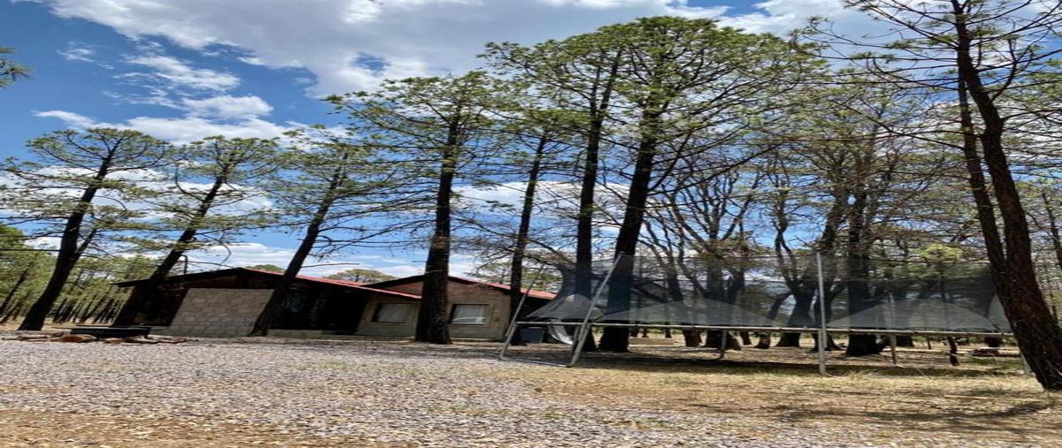 Foto de terreno habitacional en venta en  , pueblo nuevo, pueblo nuevo, durango, 30134643 No. 03