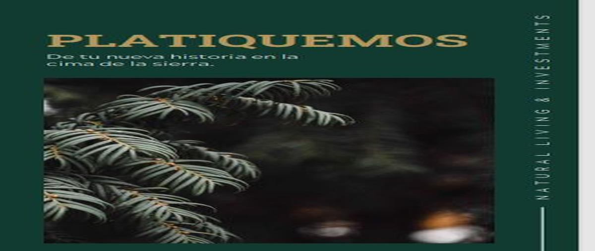 Foto de terreno habitacional en venta en  , pueblo nuevo, pueblo nuevo, durango, 30134643 No. 04