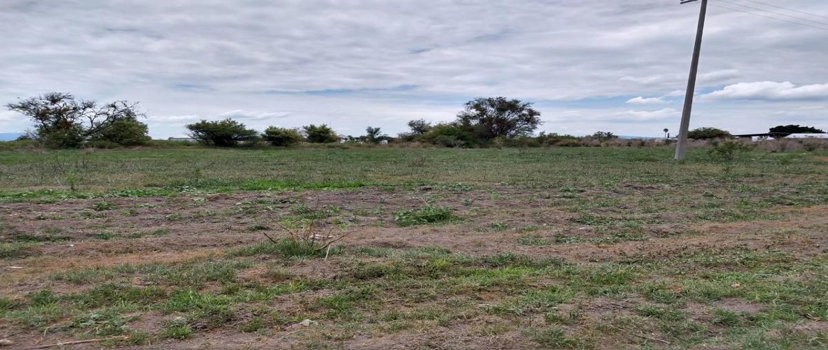 Foto de terreno habitacional en venta en  , pueblo nuevo, pueblo nuevo, guanajuato, 16660955 No. 03