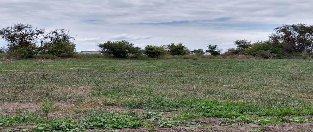 Foto de terreno habitacional en venta en  , pueblo nuevo, pueblo nuevo, guanajuato, 16660955 No. 04