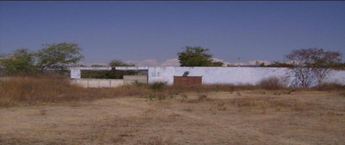 Foto de terreno habitacional en venta en pueblo nuevo , pueblo nuevo, tlaltizapán de zapata, morelos, 0 No. 03