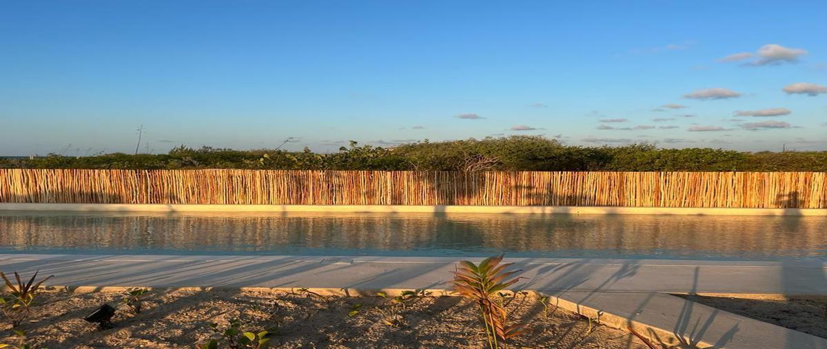 Foto de departamento en venta en pueblo san bruno, telchac puerto, yucatán, 97407 , telchac puerto, telchac puerto, yucatán, 21141143 No. 04