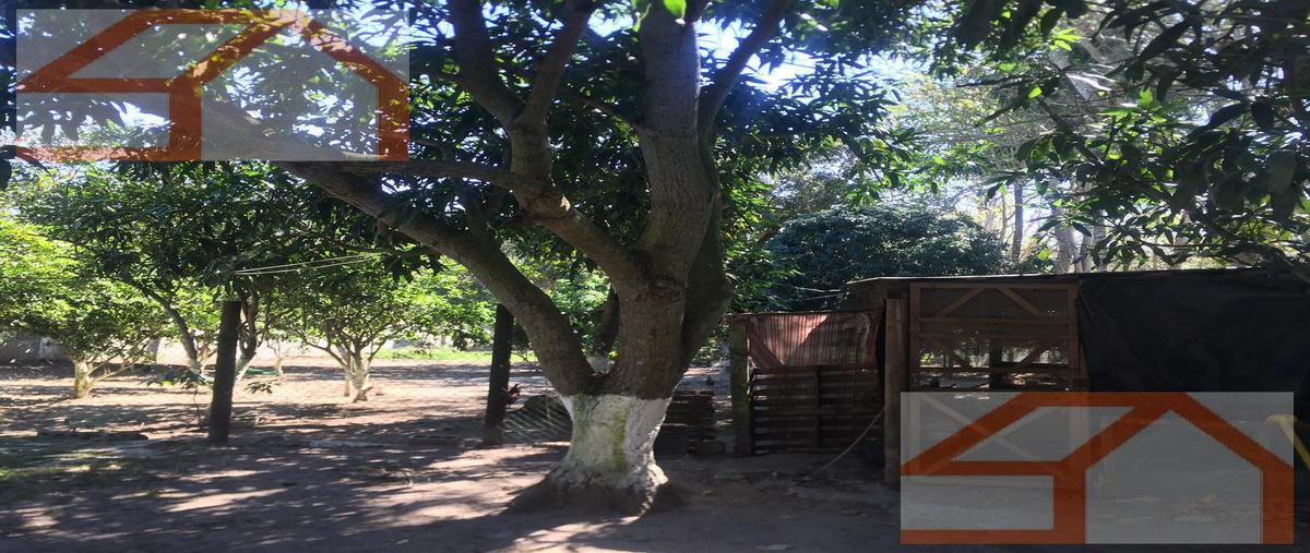 Foto de terreno habitacional en venta en  , pueblo viejo, tihuatlán, veracruz de ignacio de la llave, 0 No. 05