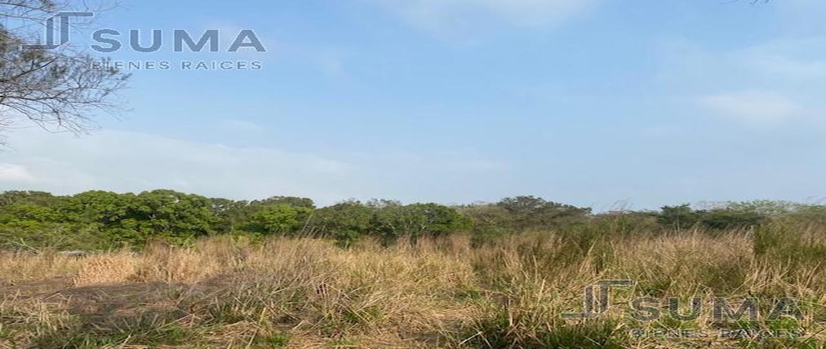 Foto de terreno habitacional en venta en  , pueblo viejo, tihuatlán, veracruz de ignacio de la llave, 0 No. 04