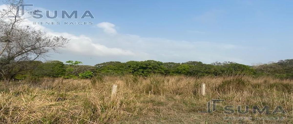 Foto de terreno habitacional en venta en  , pueblo viejo, tihuatlán, veracruz de ignacio de la llave, 0 No. 05