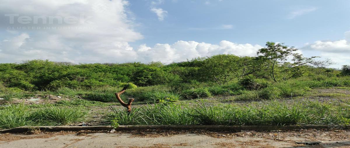 Foto de terreno habitacional en venta en  , pueblo viejo, tihuatlán, veracruz de ignacio de la llave, 0 No. 03