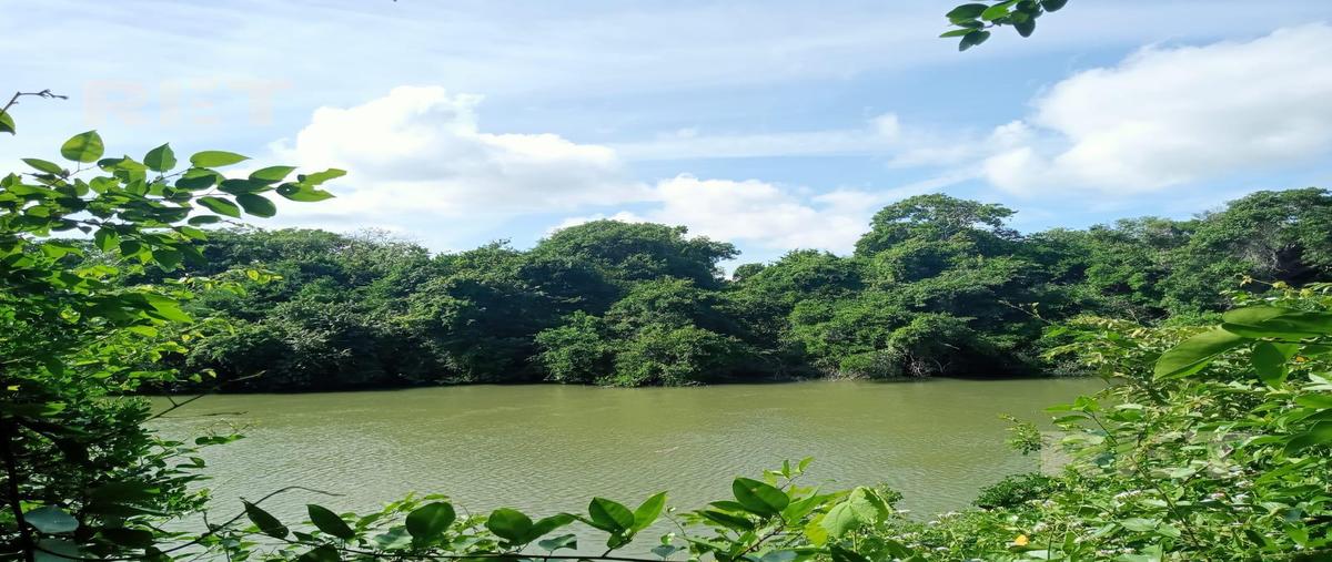 Foto de terreno habitacional en venta en  , pueblo viejo, tihuatlán, veracruz de ignacio de la llave, 0 No. 03