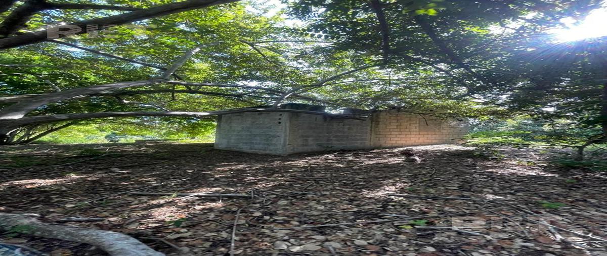 Foto de terreno habitacional en venta en  , pueblo viejo, tihuatlán, veracruz de ignacio de la llave, 0 No. 05