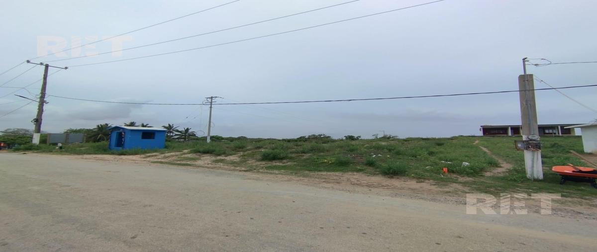 Foto de terreno habitacional en venta en  , pueblo viejo, tihuatlán, veracruz de ignacio de la llave, 30360113 No. 04