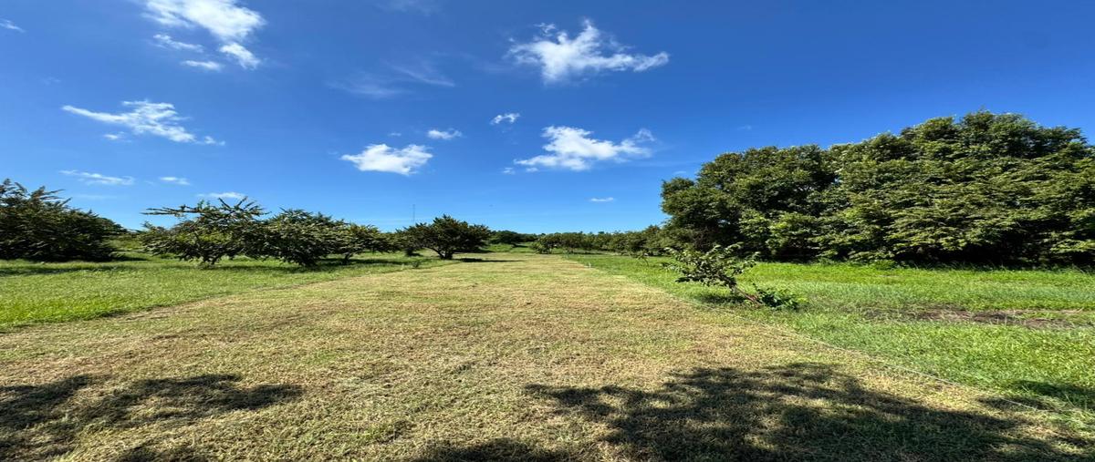 Foto de terreno habitacional en venta en  , pueblo viejo, tihuatlán, veracruz de ignacio de la llave, 0 No. 03