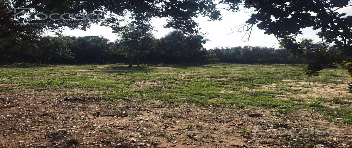 Foto de terreno habitacional en venta en  , pueblo viejo, tihuatlán, veracruz de ignacio de la llave, 0 No. 03